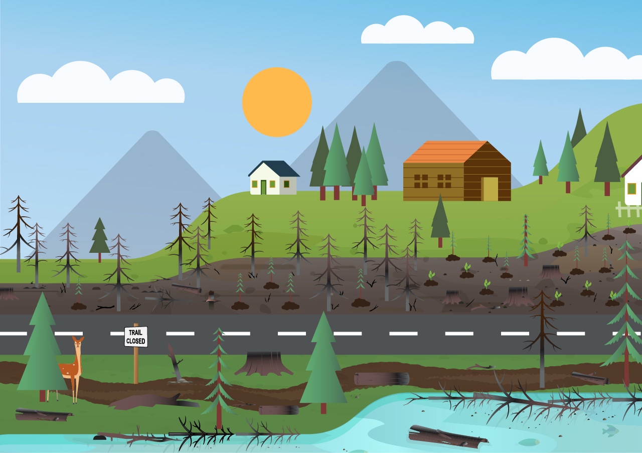 Illustration of Landscape After Wildfires
